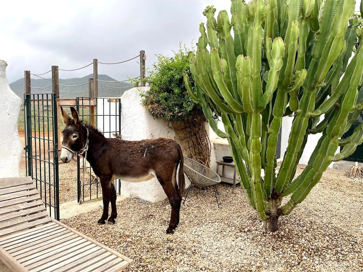 Increible Cortijo En Parque Natural Cabo De Gata Níjar Tatil Evi